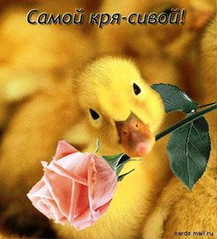 Самой