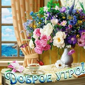 IMG 20181120 053536