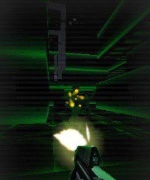 survivor-and-full-and-lite