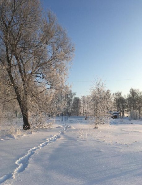 7B7E8FADEC5F624F90B635A2E8C6511A