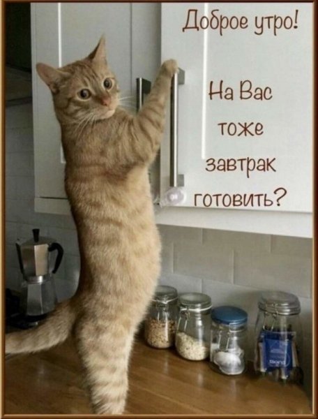 Доброе утро