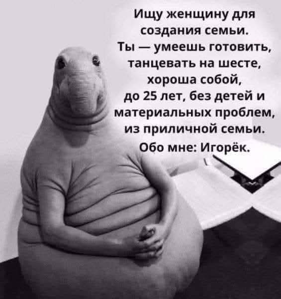FB IMG 1778093133355