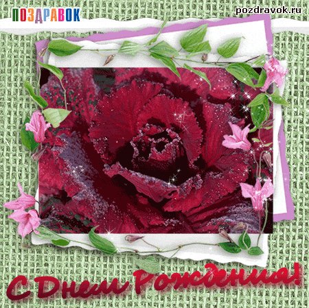 otkrytka-den-rozhdeniya-tsvety