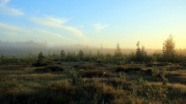 file_74138555