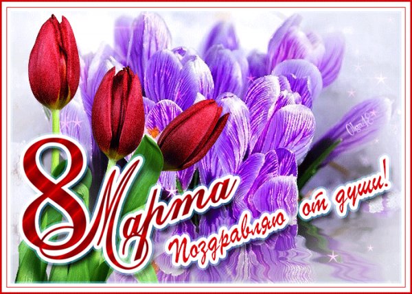 IMG 20240308 005819