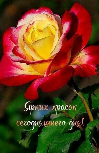 file_92574032