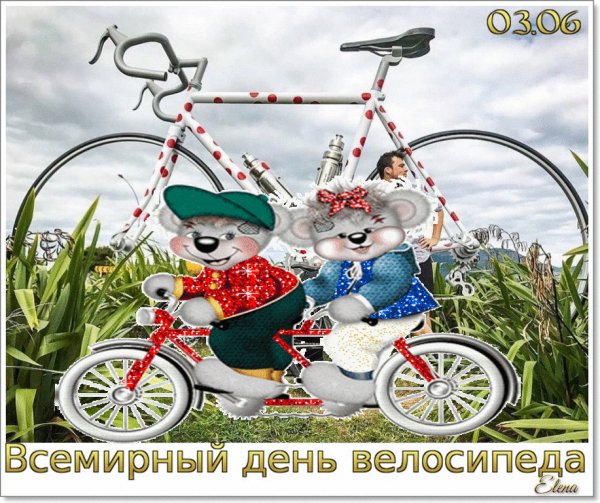 День-велосипеда-002