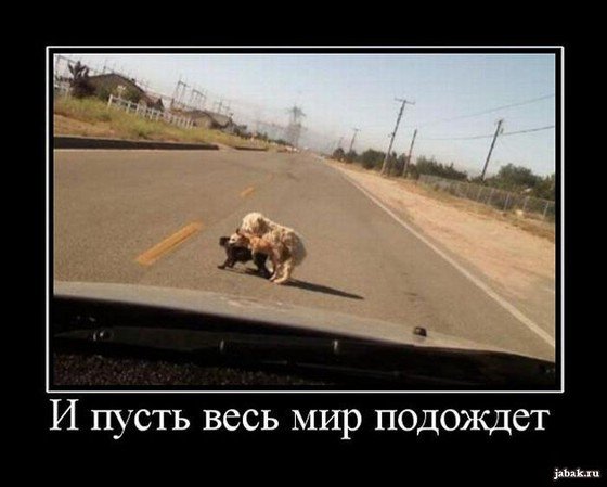 file_78424959