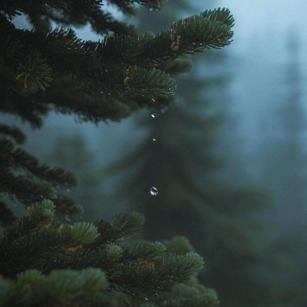 IMG 20260124 003344 343