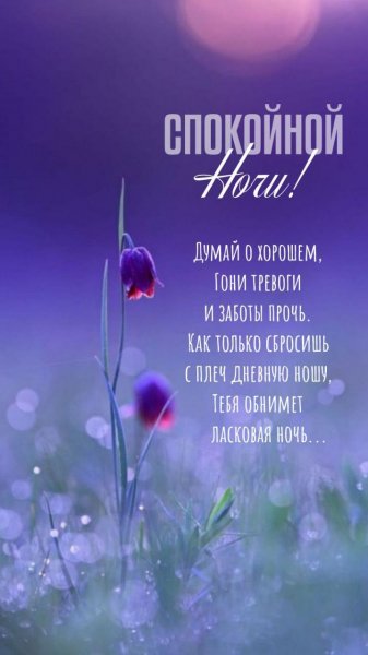 Спойной ночи