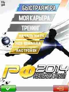 RealFootball2014 Sam 480x800 S8000 RU