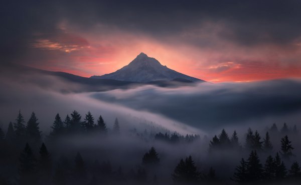 Priroda-gory-nebo-utro-rassvet-les-tuman