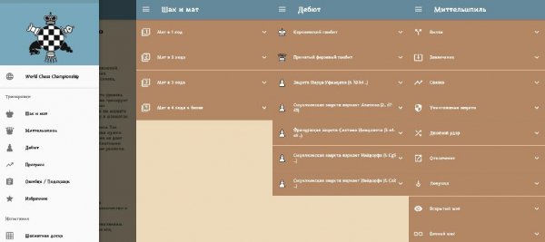 Chess Coach Pro 2.09