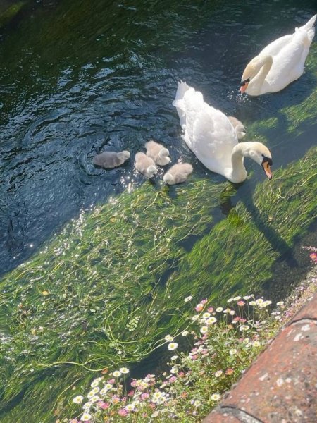 IMG 20250623 020420 928