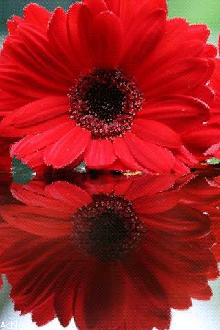 file_76402920