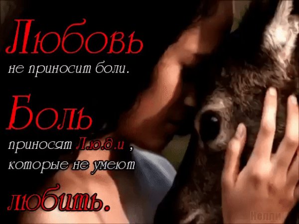 IMG 20250916 170202