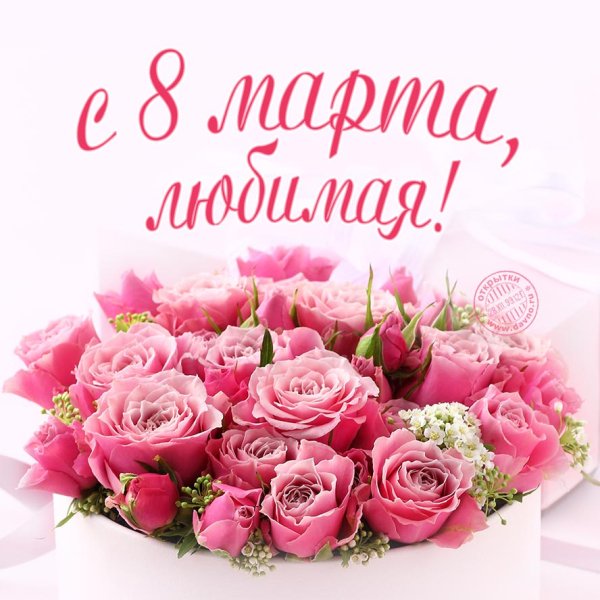 IMG 20190305 700549