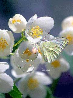 file_46968014
