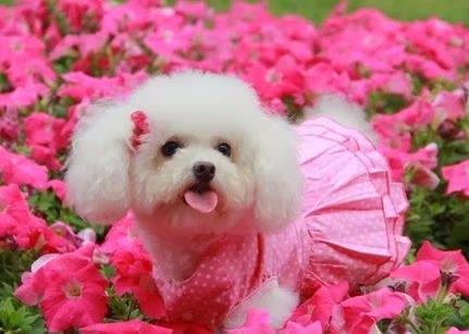 file_69999635