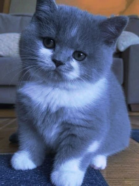 FB IMG 1756467088786