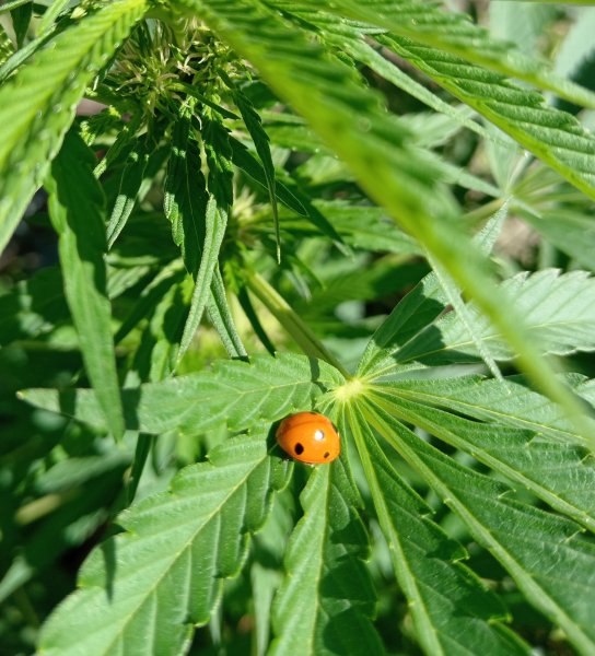 IMG 20250922 123849 edit 1639619328609112