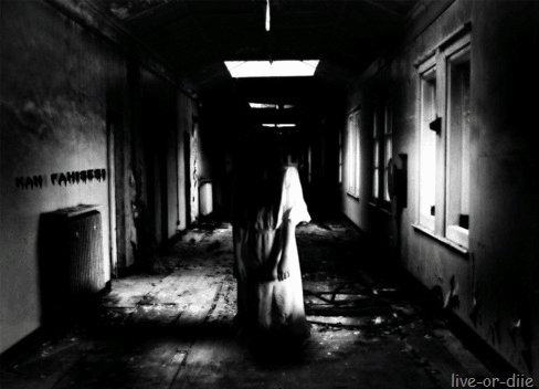 tumblr ly4oagtgtq1qknqj8o1 500