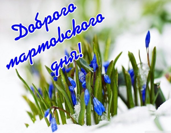 file_99171758