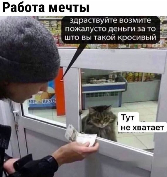 FB IMG 1780695199670