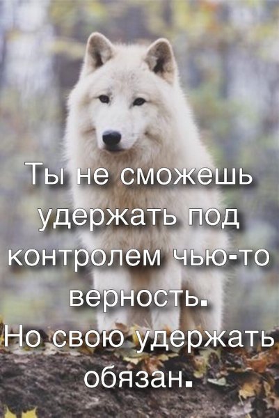 Верность