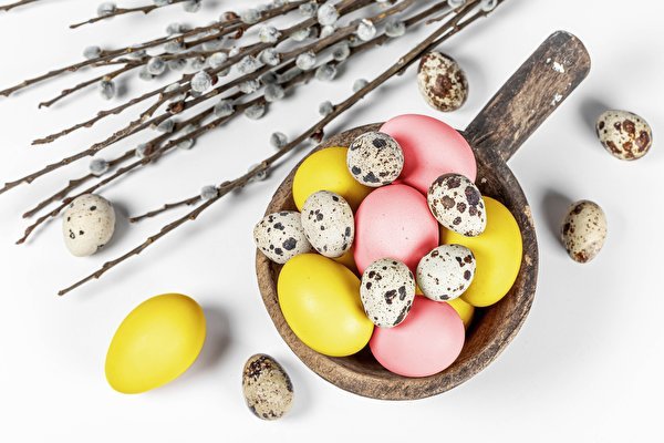 Easter Branches Eggs White background 581377 600x400