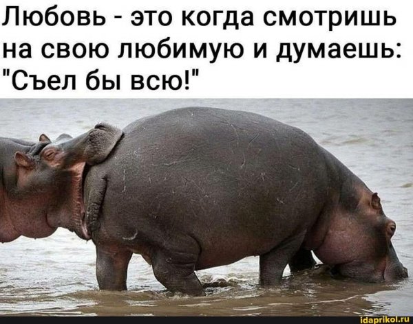 FB IMG 1776810825899