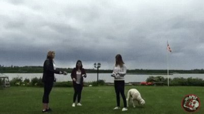 gifs 07