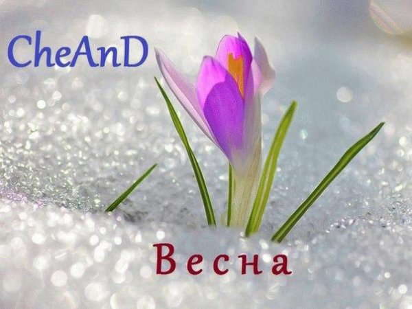CheAnD. Весна