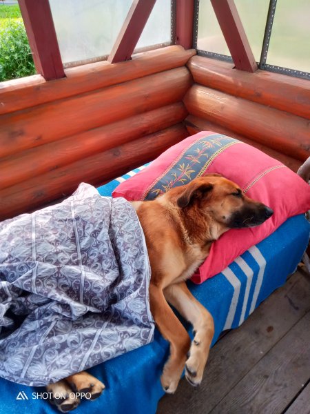 XPEDCTVHNKKONHCM8MMQ