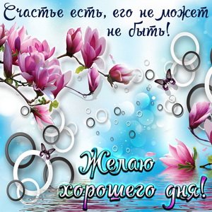 IMG 20190202 689042