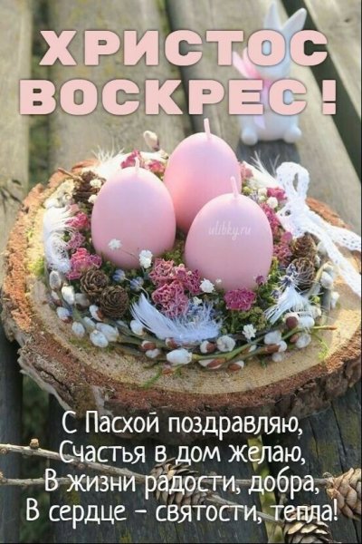IMG 20230416 094318