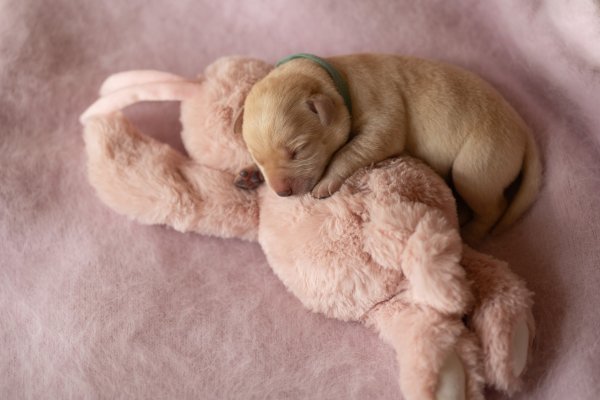 CV8HEDCTGHFGJBCGGKBRY