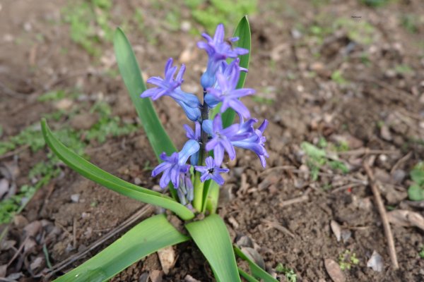 01.04.2025