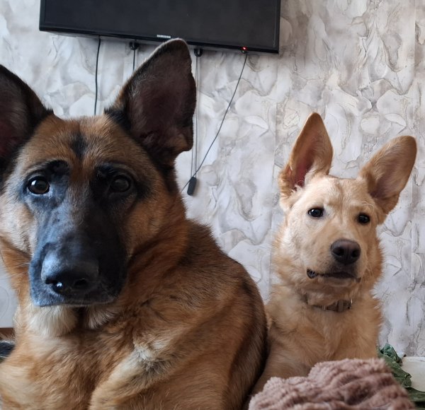 LJMKOLUKNJKMJOKVYJDW0