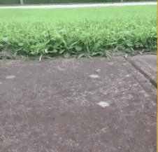 file_85176833