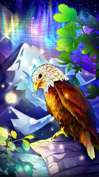 5fcdebc74a165f00011a5fbbwallPaper