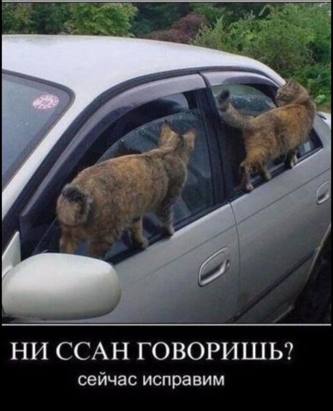 FB IMG 1777225950677