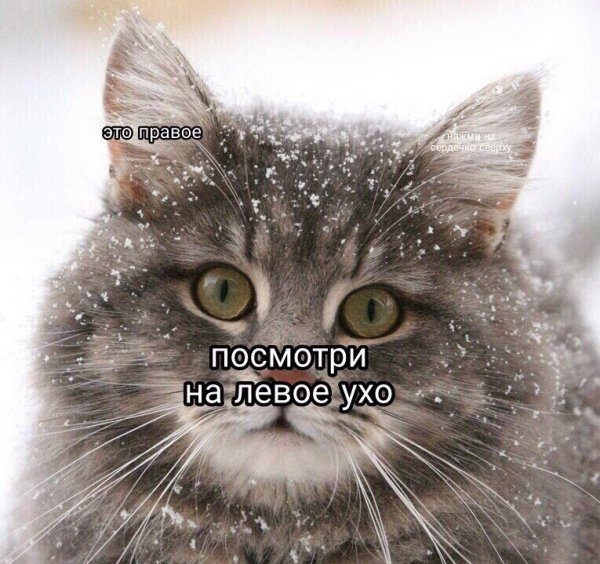 -85732459