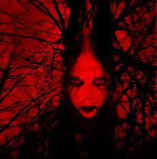 IMG 20150331 175419 18