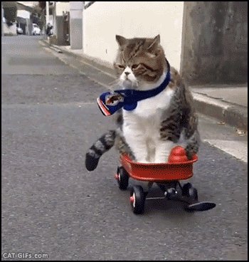 1b282c1db96196ade5dcb28d58239134