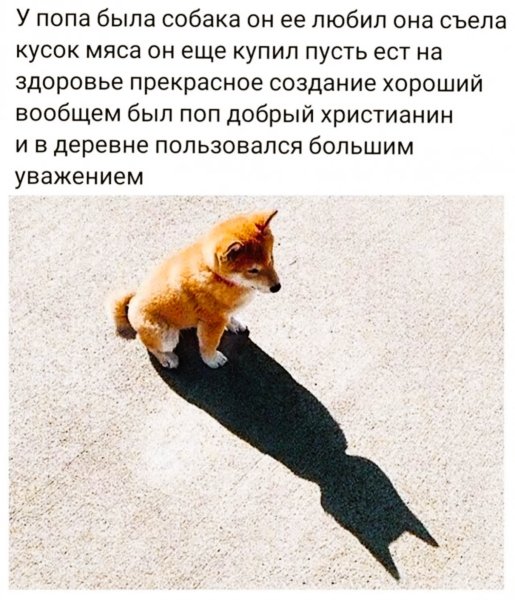 IMG 20231108 115230