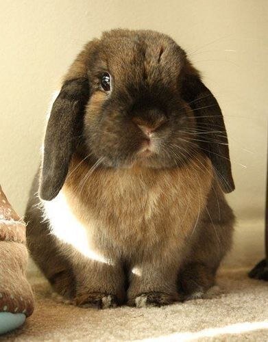 IXO4QilMW9g