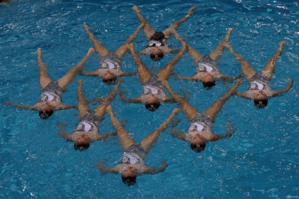 Sinkhronnoe-plavanie--sport