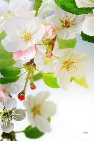file_52690411