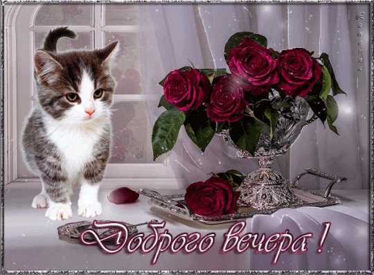 Доброго вечера